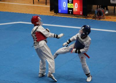 В Рязани стартовали чемпионат и первенство области по тхэквондо